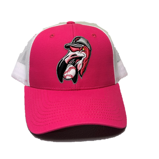 Hat Backwards png images